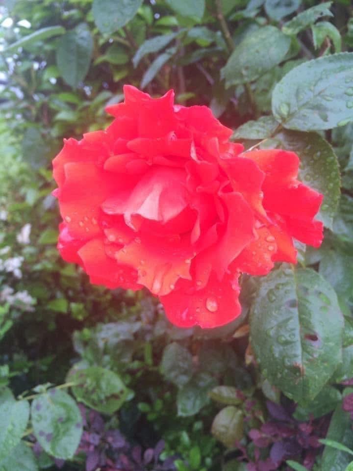 Jenny ☕️ tweet media