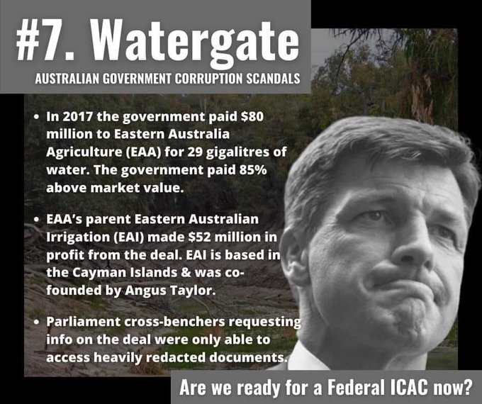 Bob is Back!! Live with it. tweet media