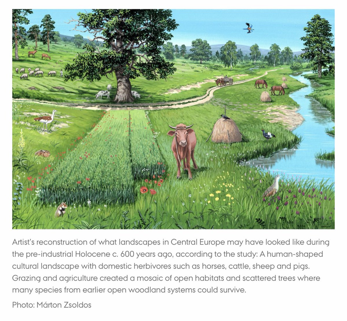 Wrath Of Gnon tweet media