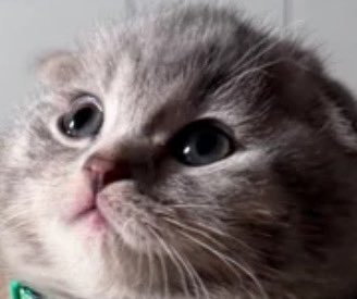 roobs✨🫶🏼 tweet media