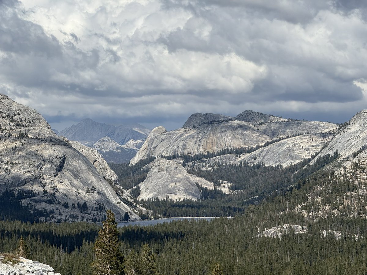 DevilOnTheDeepBlueSea tweet media