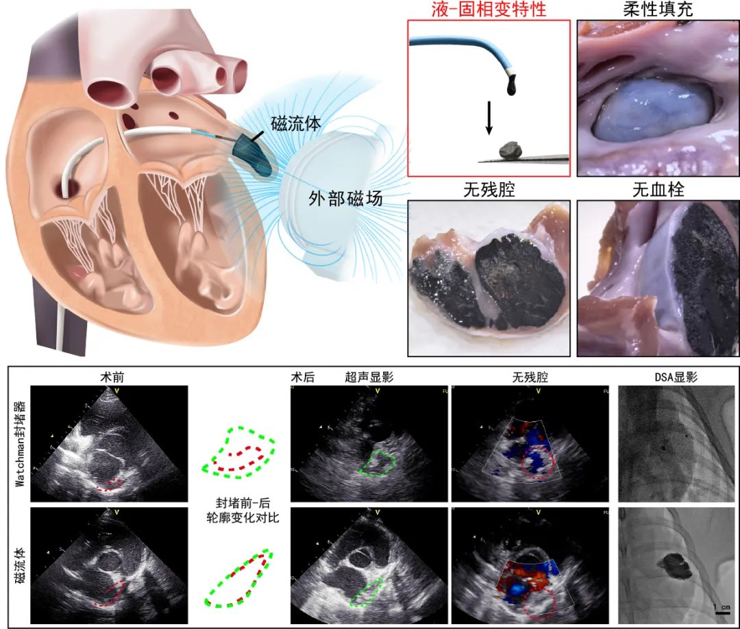 China Science tweet media