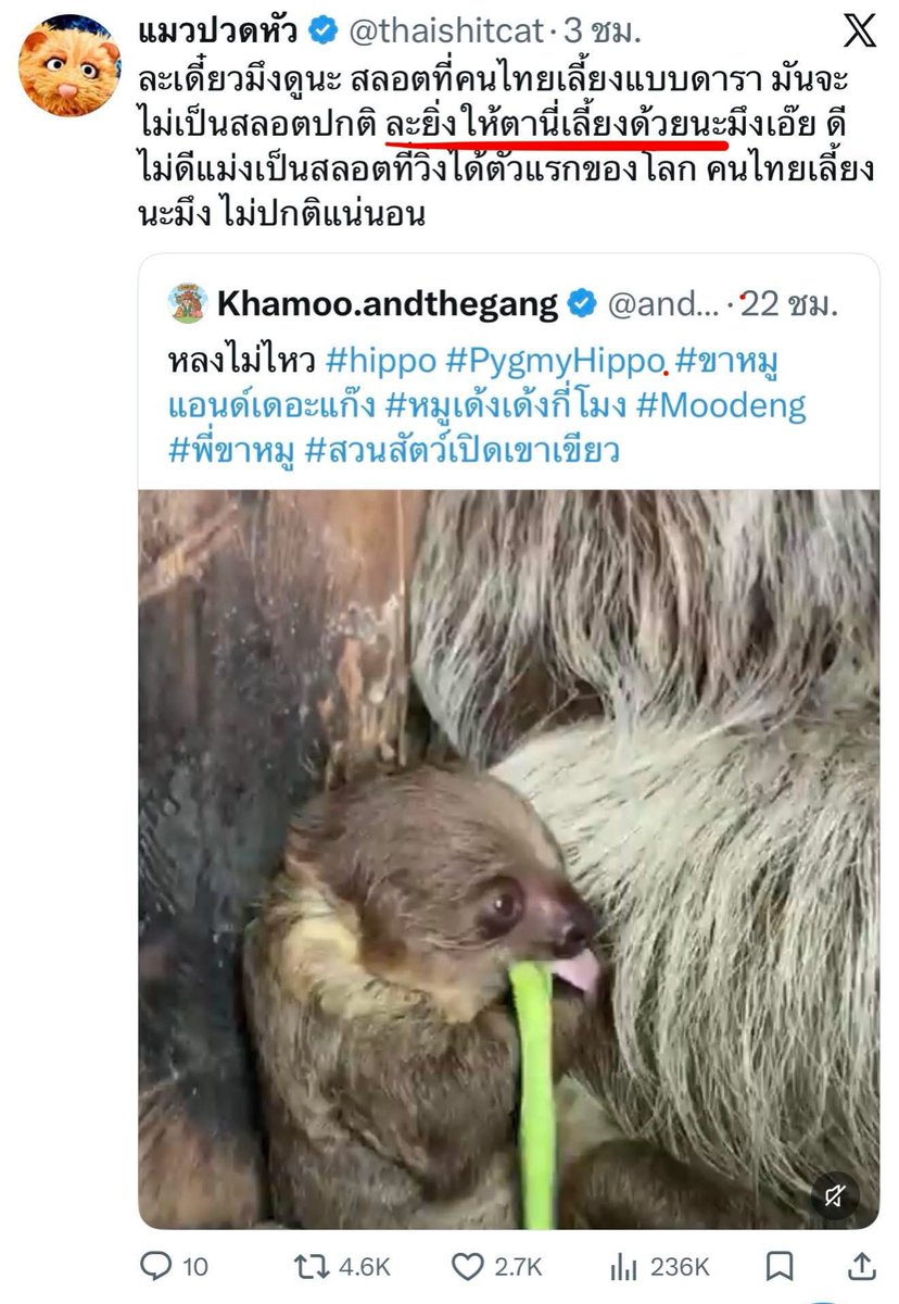 Khamoo.andthegang tweet media