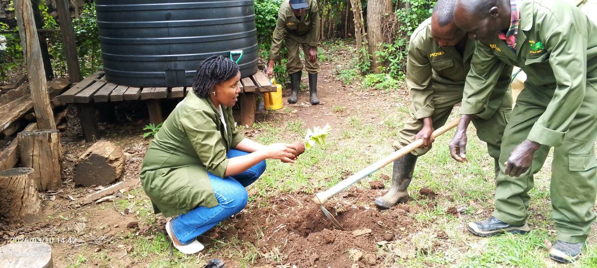 Friends of Mau Watershed (FOMAWA) tweet media