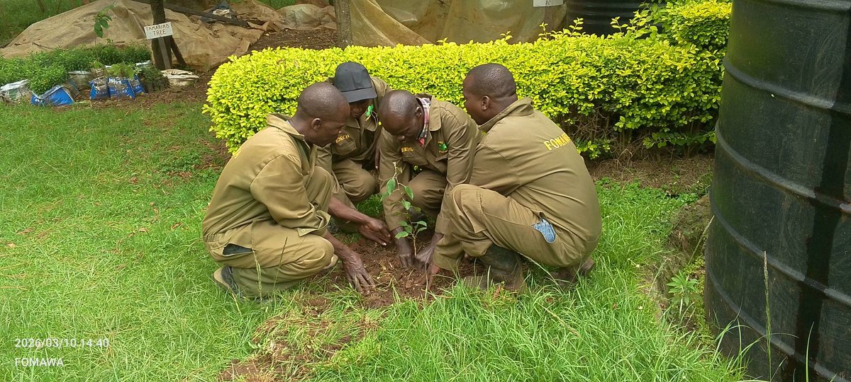 Friends of Mau Watershed (FOMAWA) tweet media