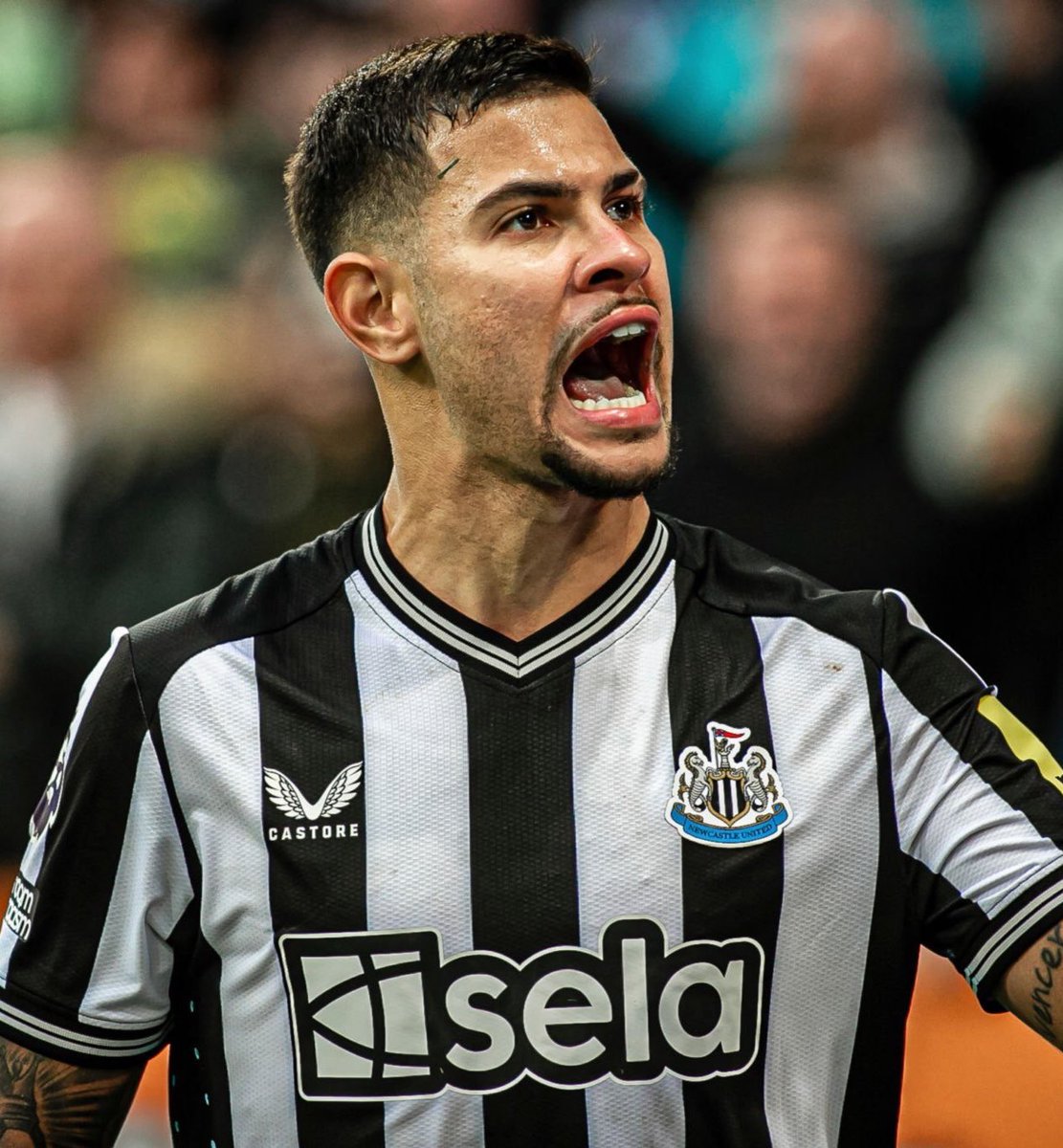 centredevils. tweet media