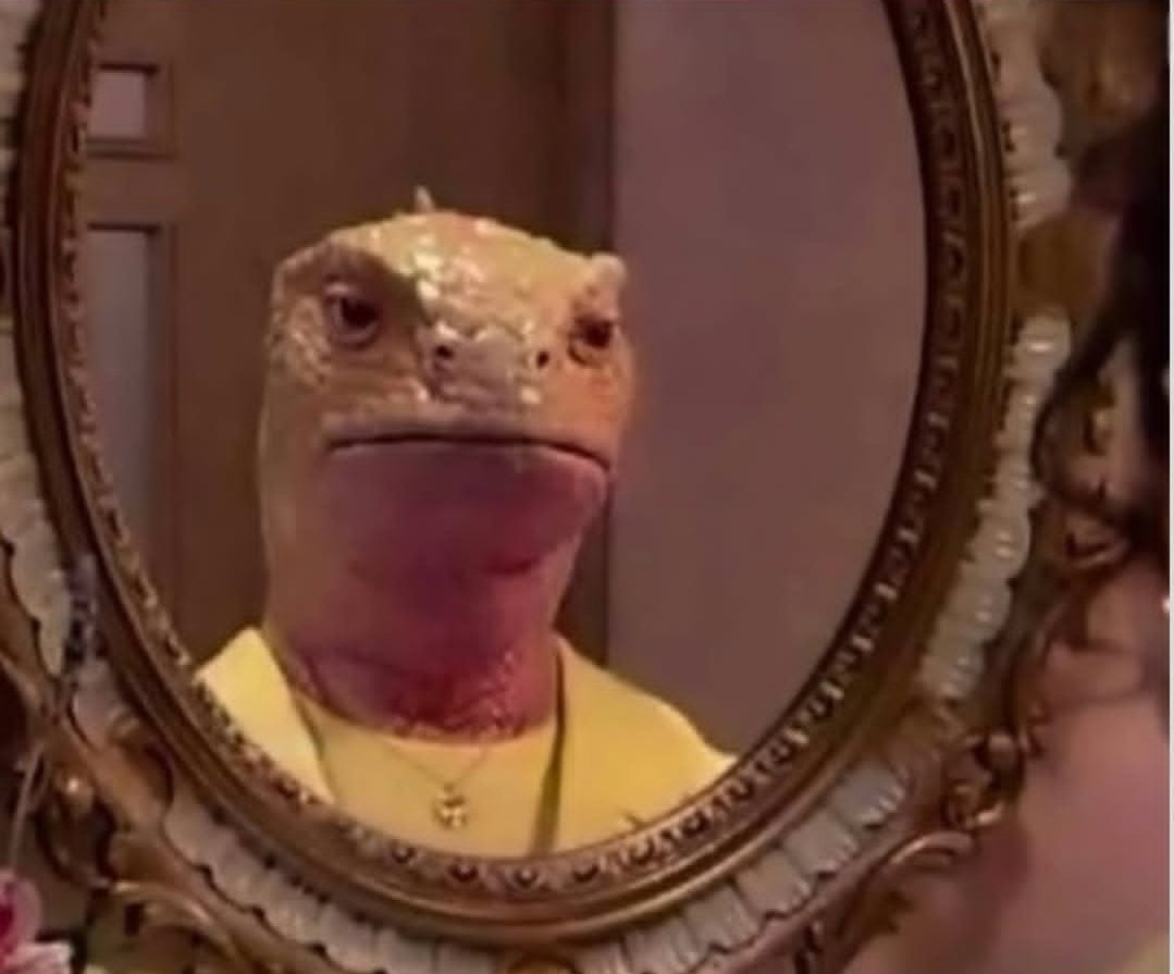 𝗧𝗼𝗯𝗶 🧸❤️ tweet media