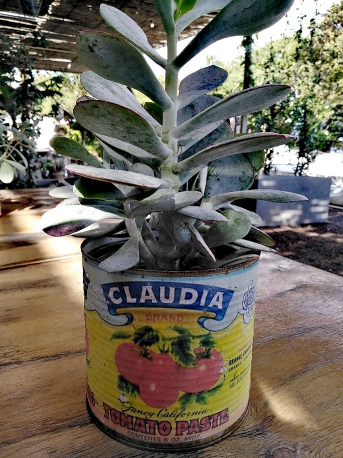 Alice. Frikken Alice. 🚜 tweet media