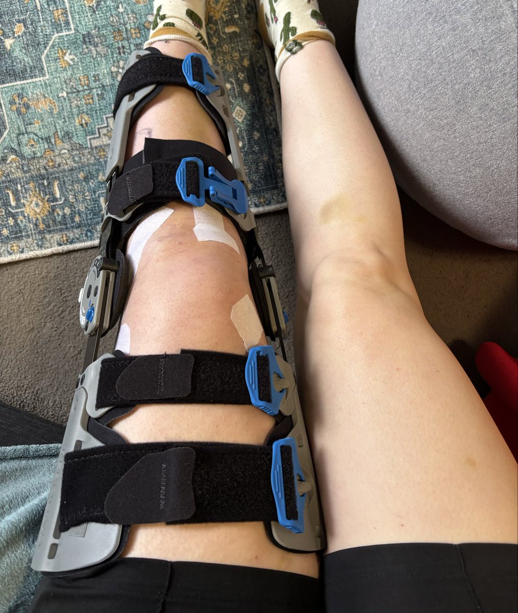 KECCHI 🌱 tweet media