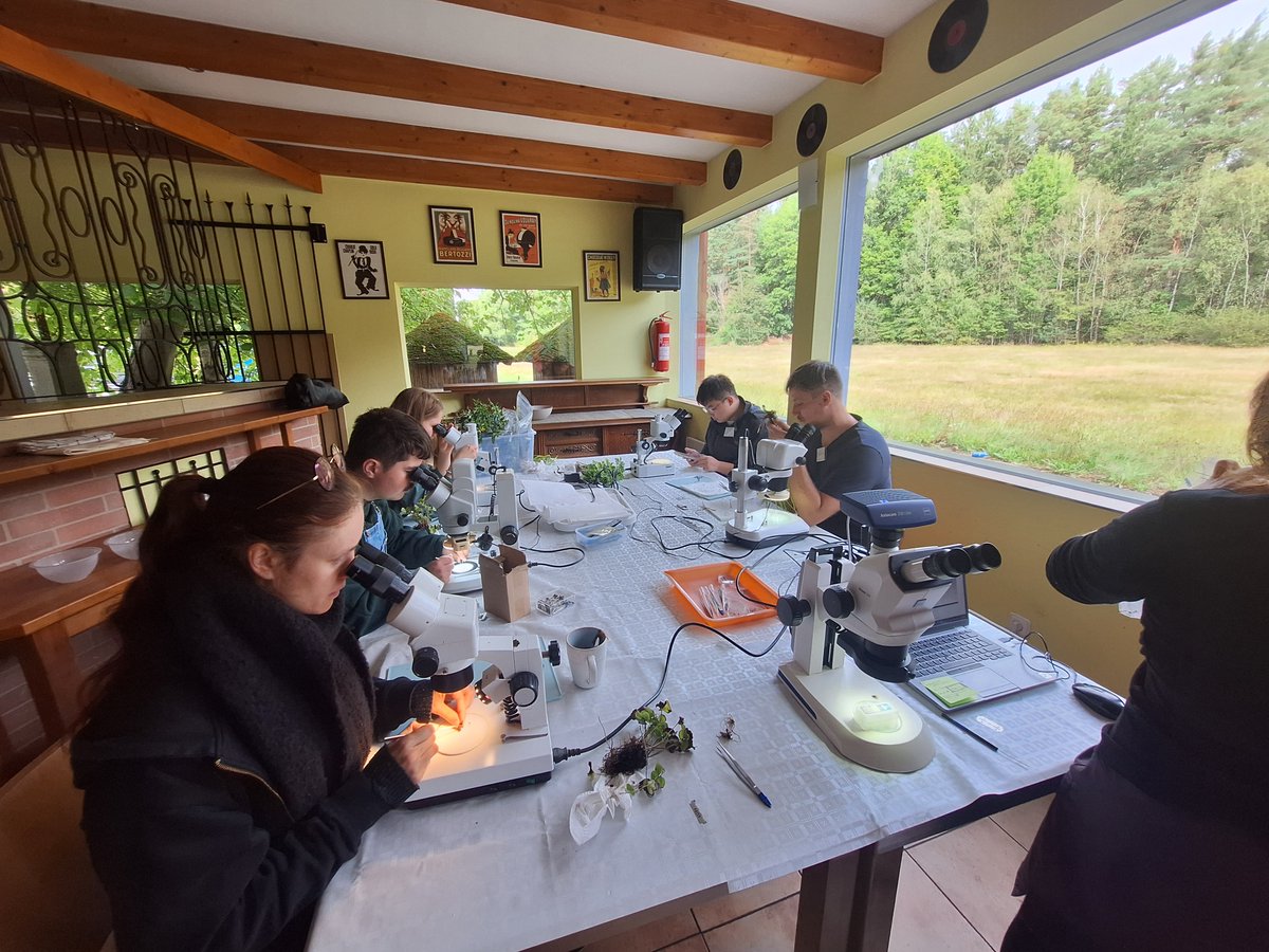 Go Belowground! tweet media