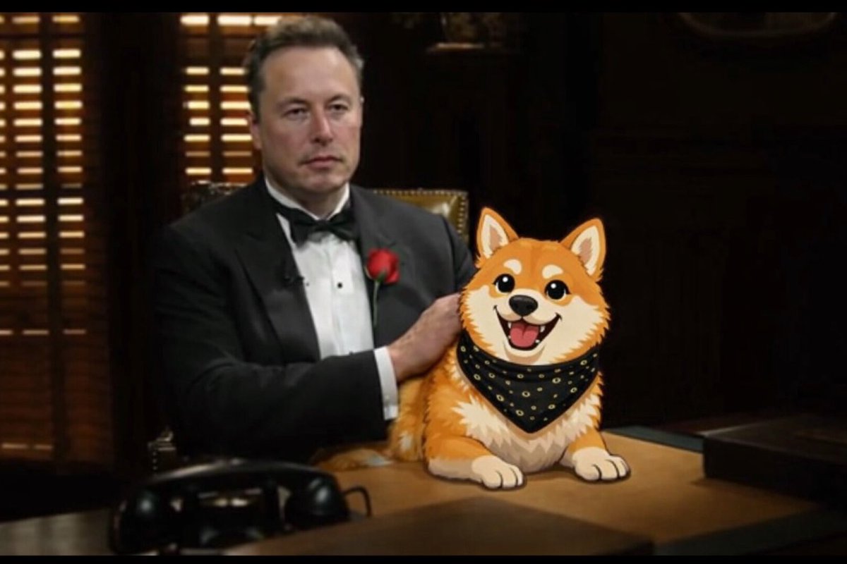 ZerkerTheGreek tweet media