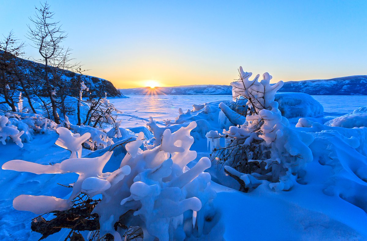 Grandpa Grisham tweet media