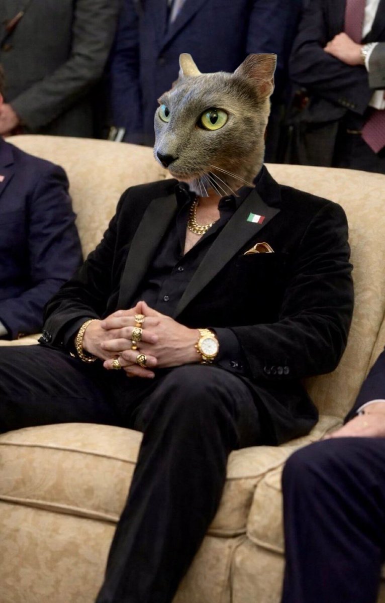 KΔℝΪℕℕΔ ₿ tweet media