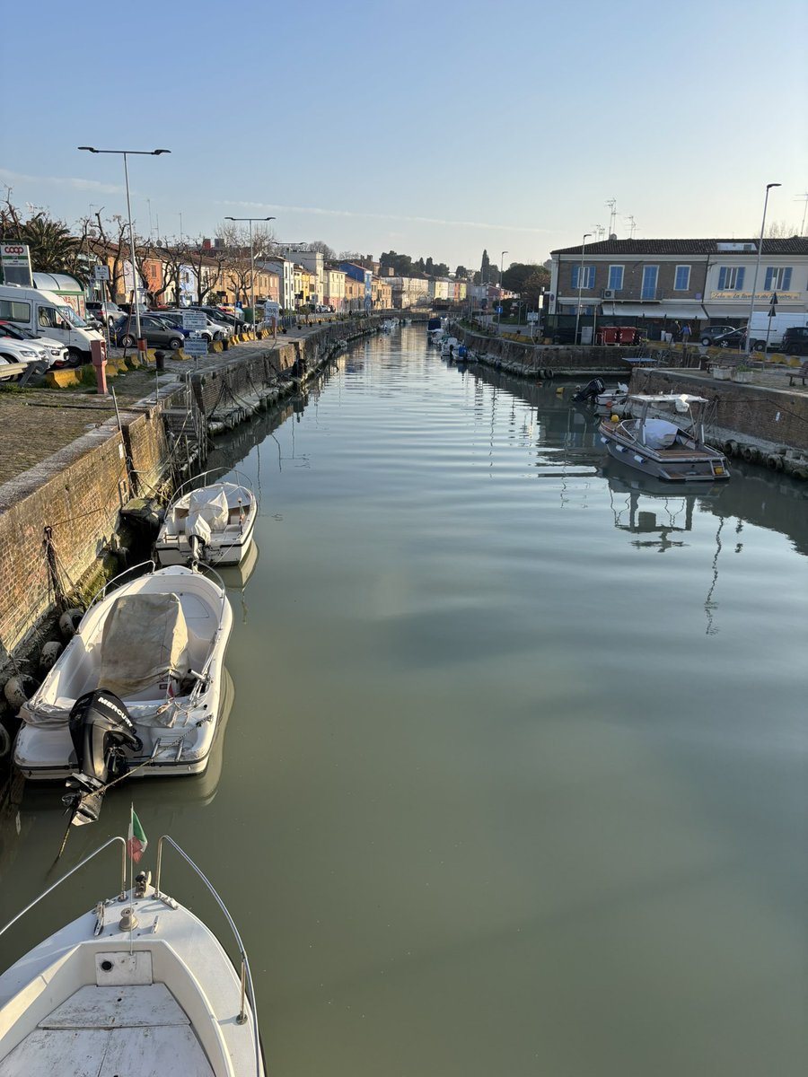 Danisetta Rocchi tweet media