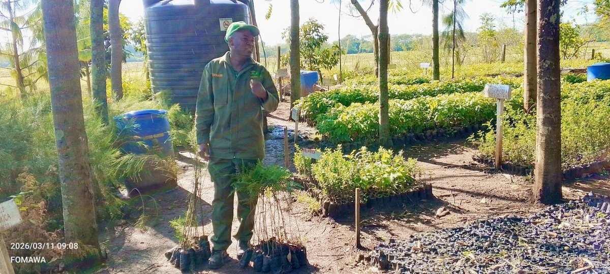 Friends of Mau Watershed (FOMAWA) tweet media