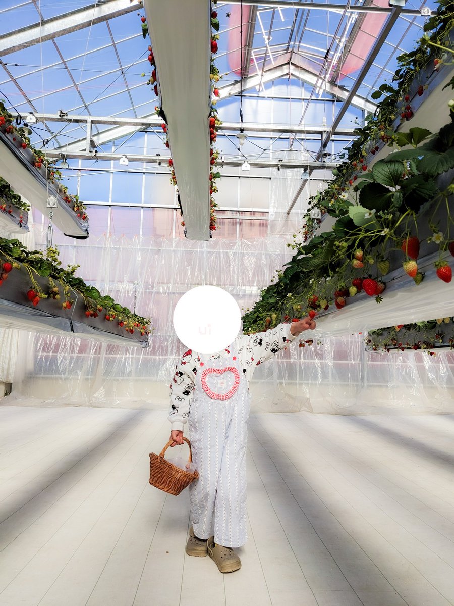 うい！　𝟜𝕐👶 tweet media