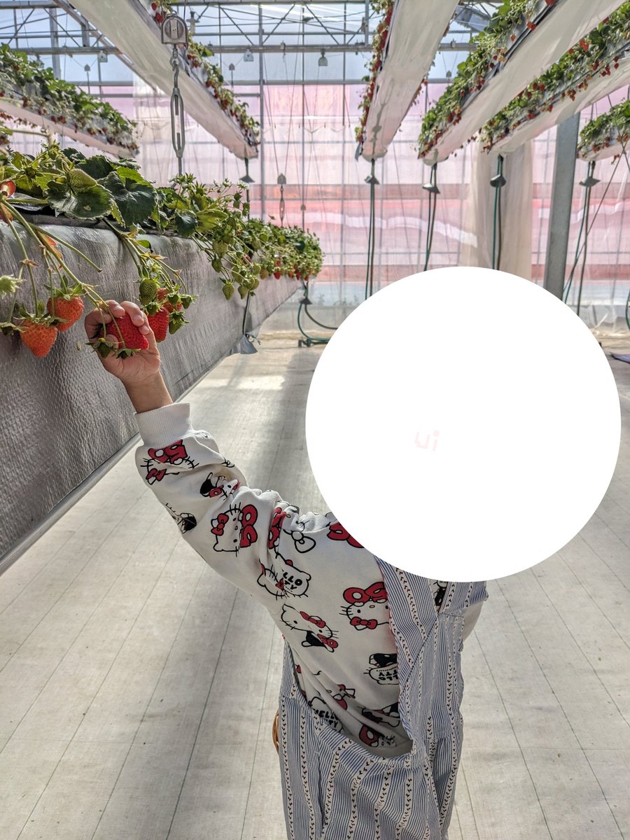 うい！　𝟜𝕐👶 tweet media