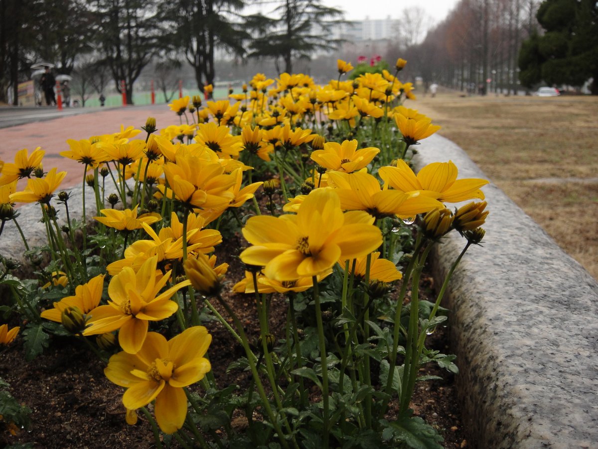 백설기콩떡🍮🍨 tweet media