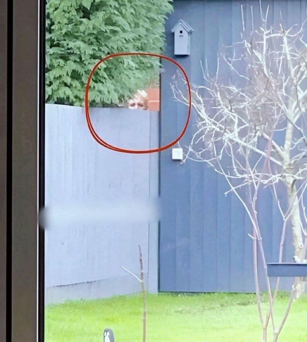 Noble Nations❤️ tweet media