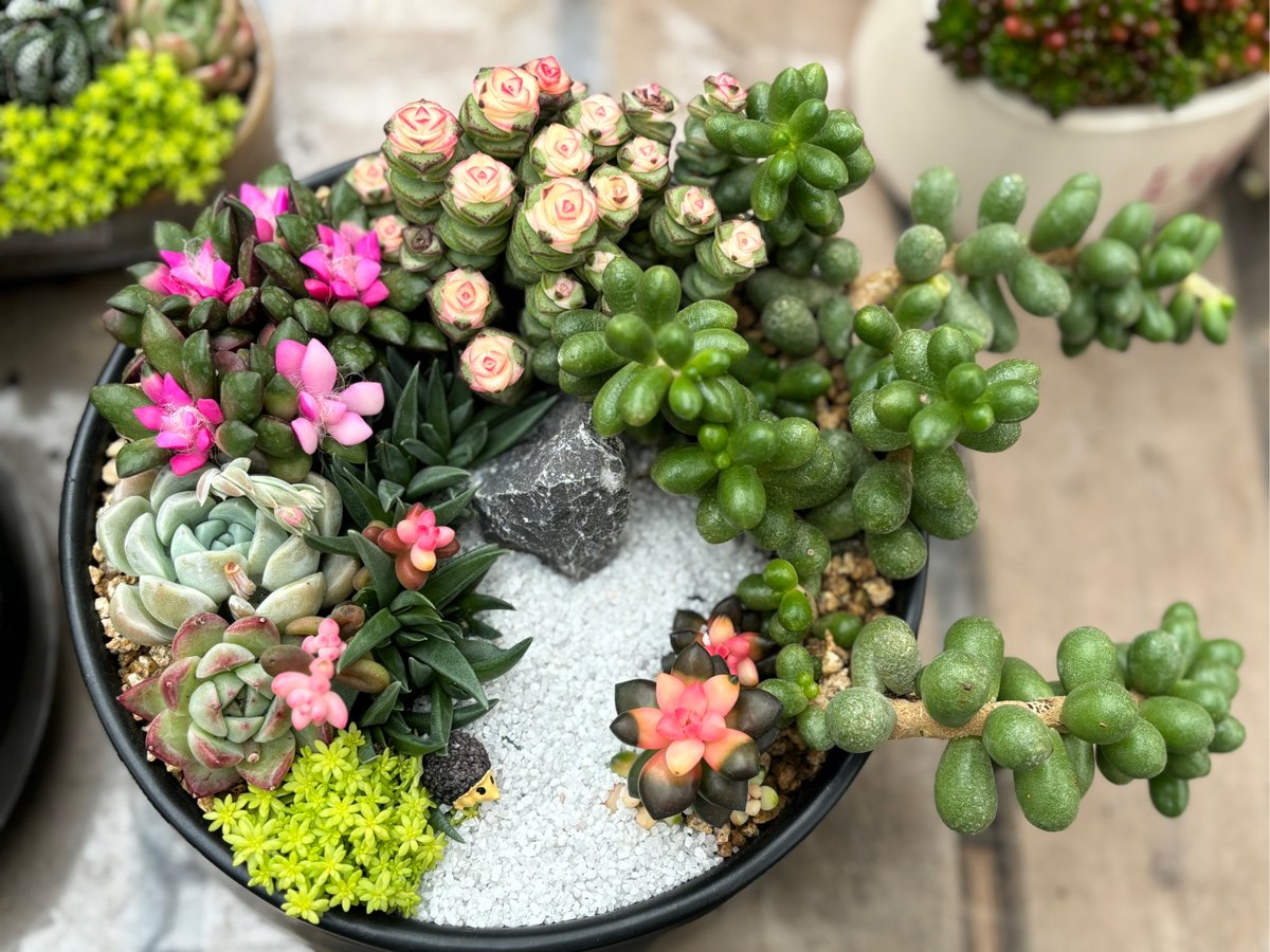 александр андреев tweet media