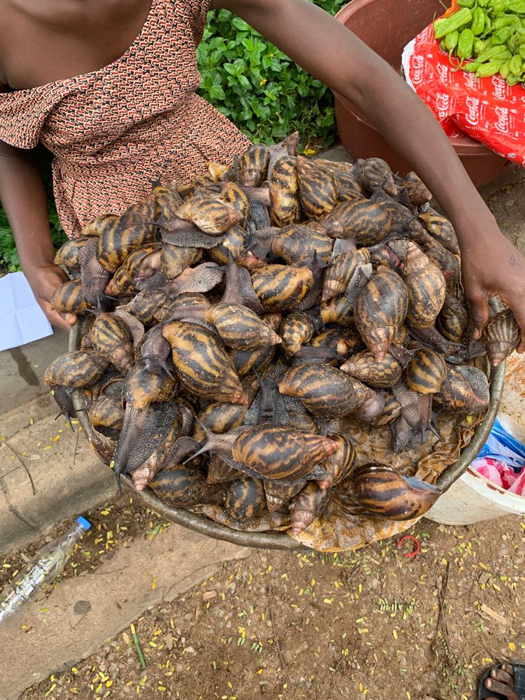 Jane 🌟💫 tweet media