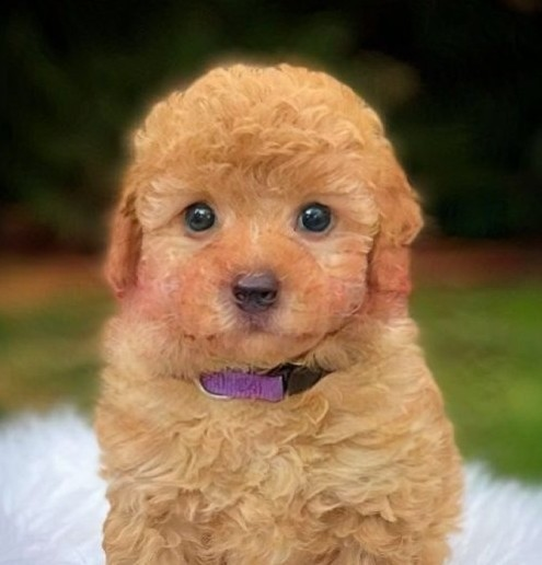 lolt64🕵️ tweet media