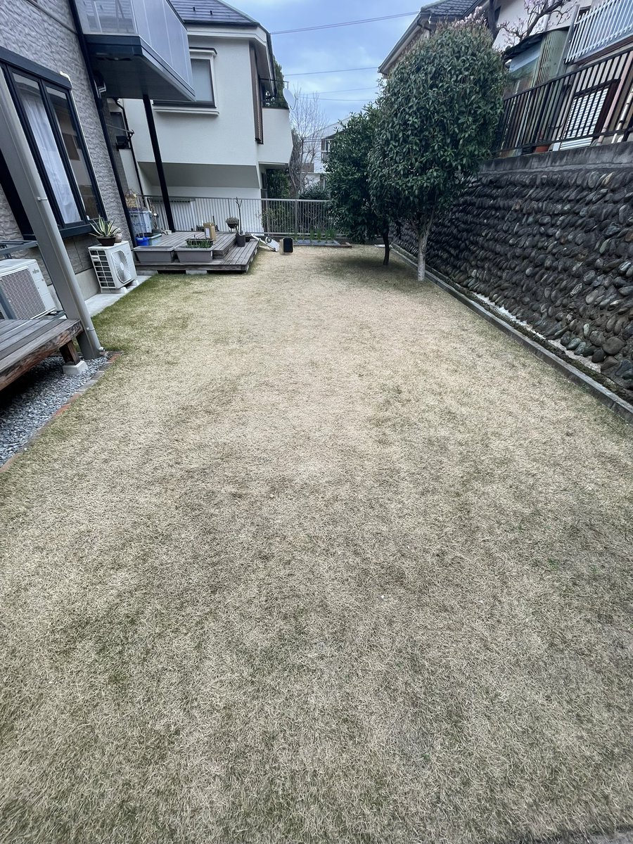 芝 JUN tweet media