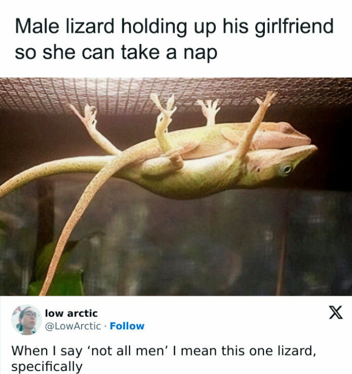 Eric Alper 🎧 tweet media