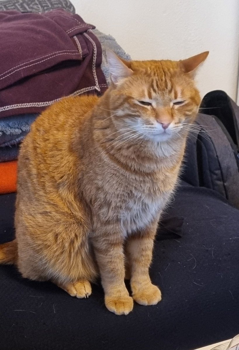 4 yedik elendik..
Osimhen in kolu kırıldı 
Lang in parmağı koptu...

Bizde güne böyle başladık...

#arife #LiVvGAL #KAOS