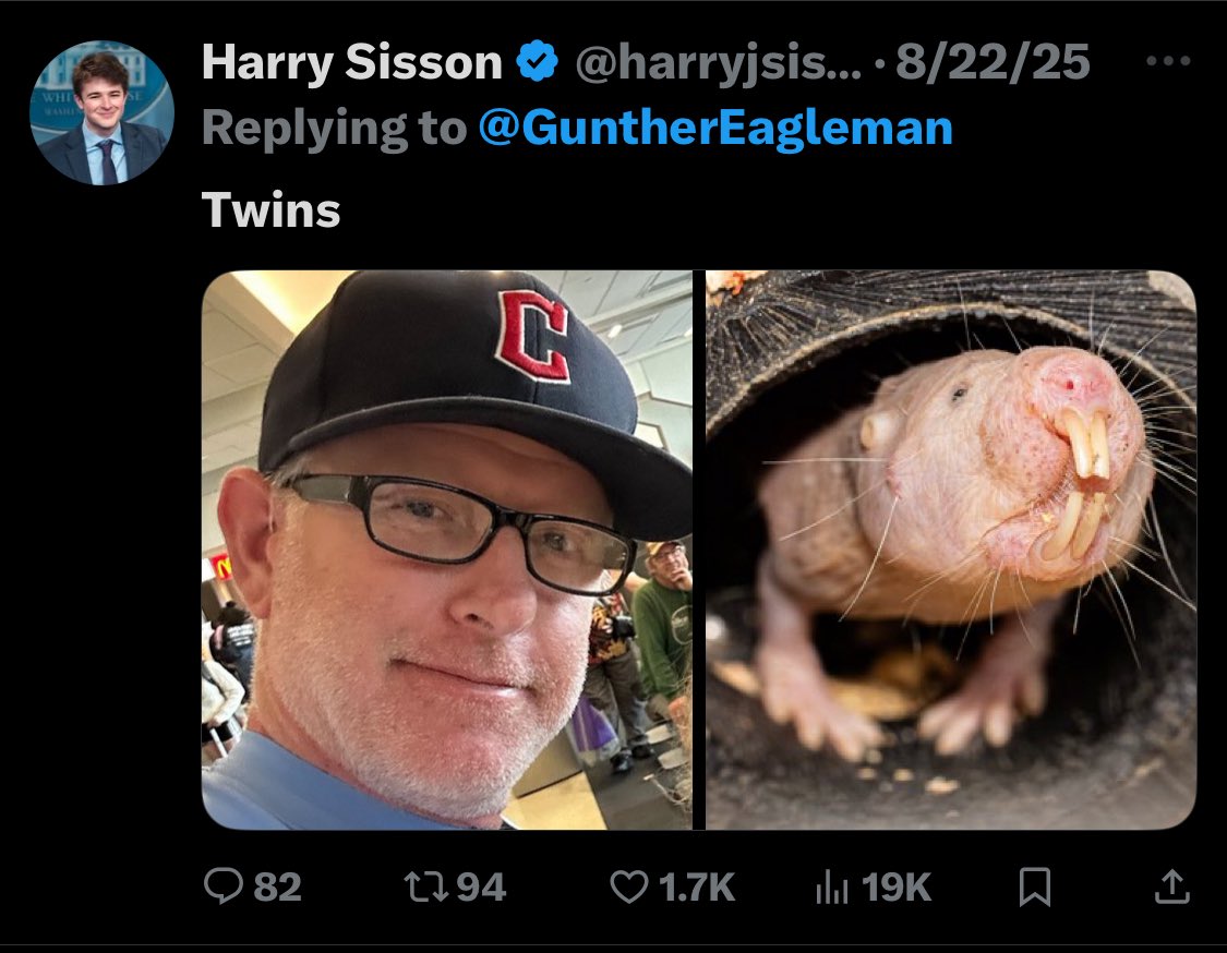 John Adams 🇺🇸🇺🇦 tweet media