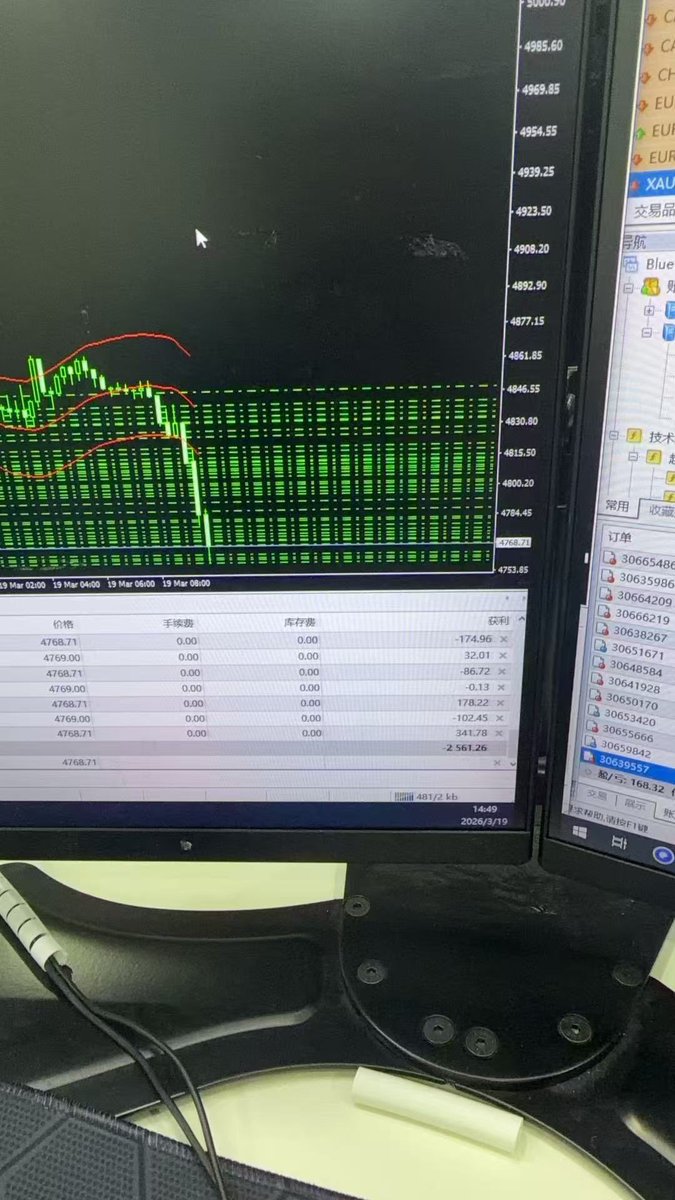 证势交易 tweet media