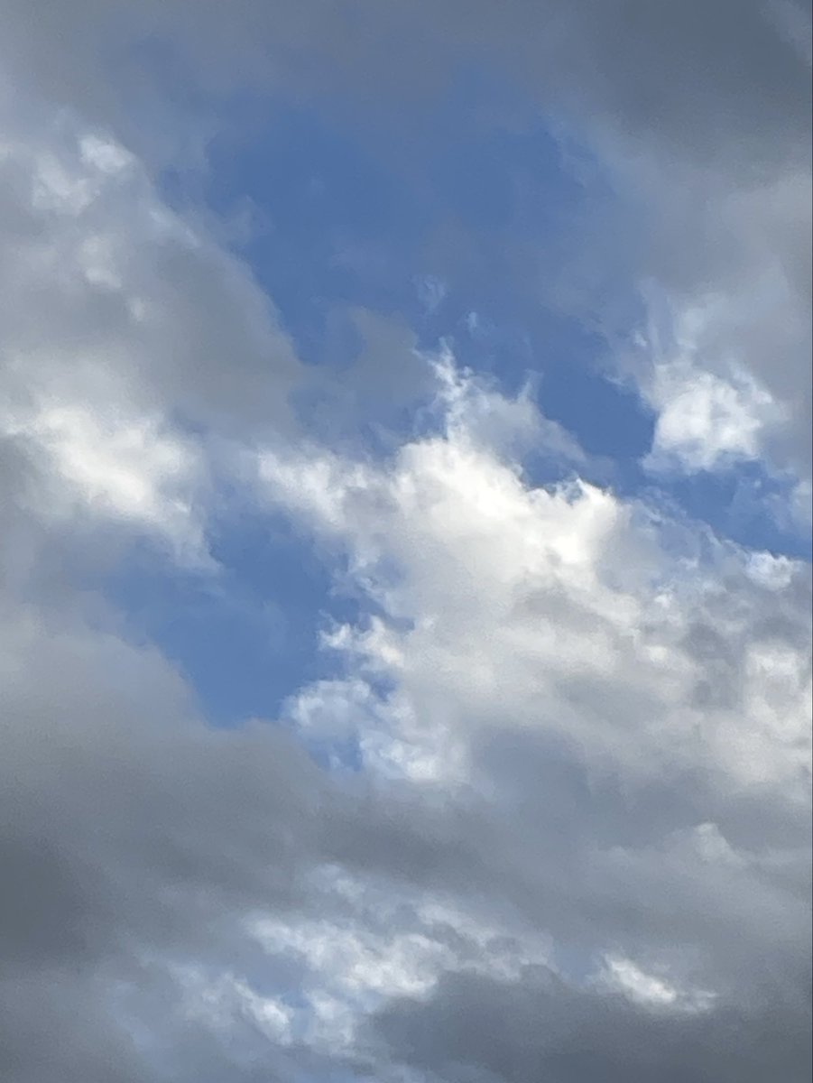 こだま和文 tweet media