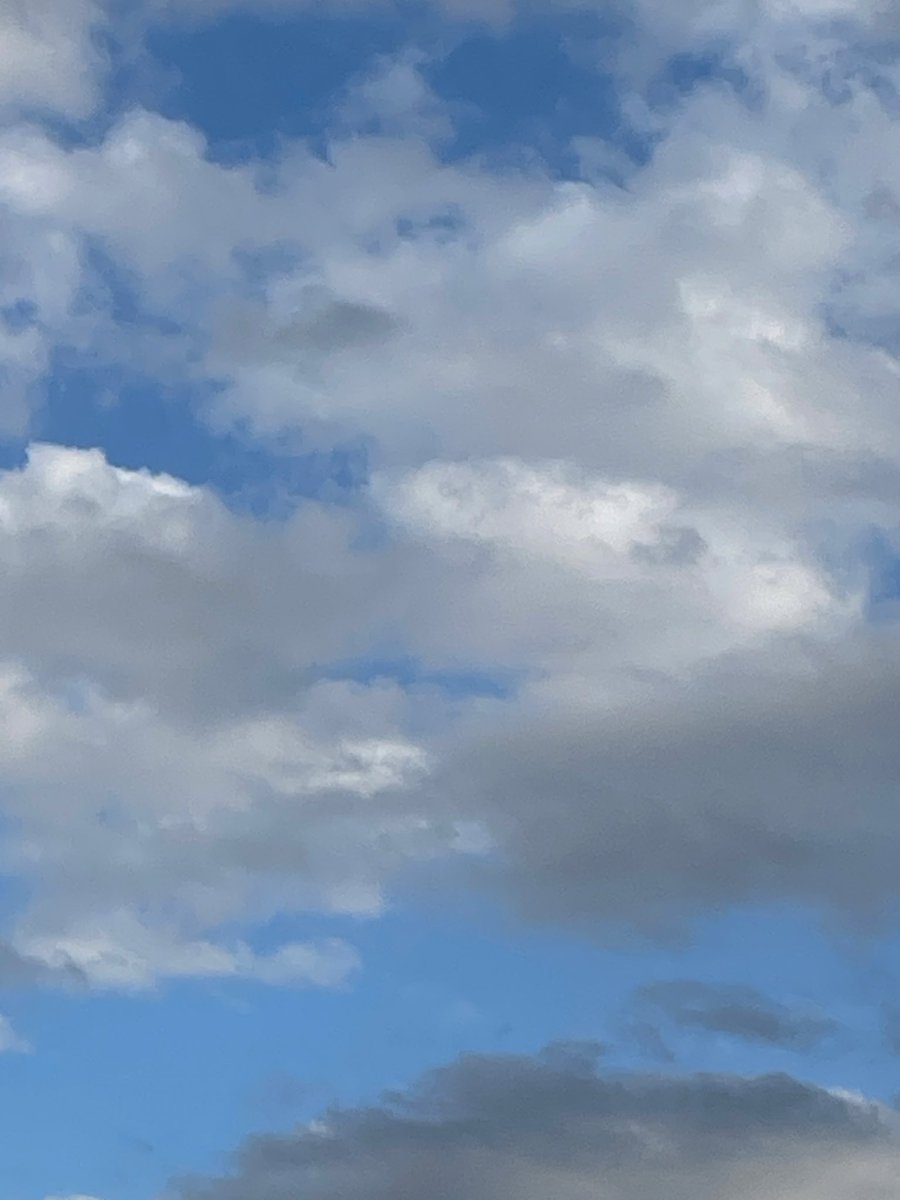 こだま和文 tweet media