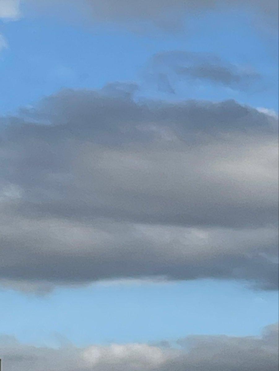 こだま和文 tweet media