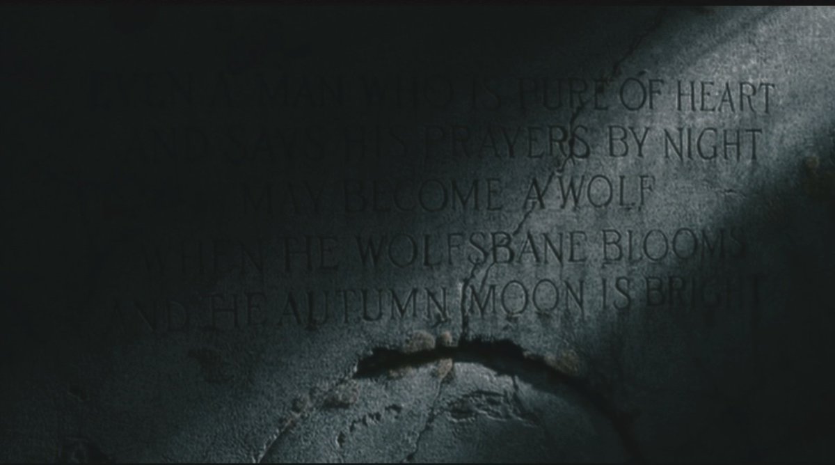 𝘿𝙖𝙢𝙣𝙚𝙙 𝘽𝙚𝙖𝙨𝙩 tweet media