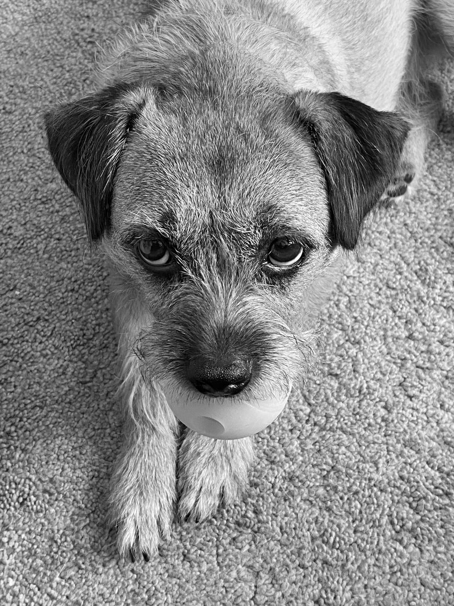 Lady Winnie BT 🏴󠁧󠁢󠁳󠁣󠁴󠁿 tweet media