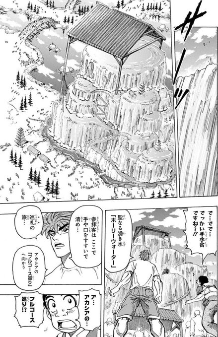 トリコ モノクロ版 17 (ジャンプコミックスDIGITAL)(島袋光年 著) 敷地面積が北海道と同じクソデカ神社内の100メートルくらいある手水舎から振り注ぐ聖なる湧き水「ホーリーウォーター」。ふざけ方が令和インターネット。