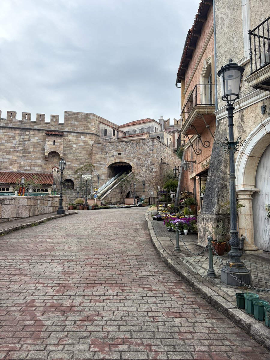 しのく (@shinork_nonono) on Twitter photo 