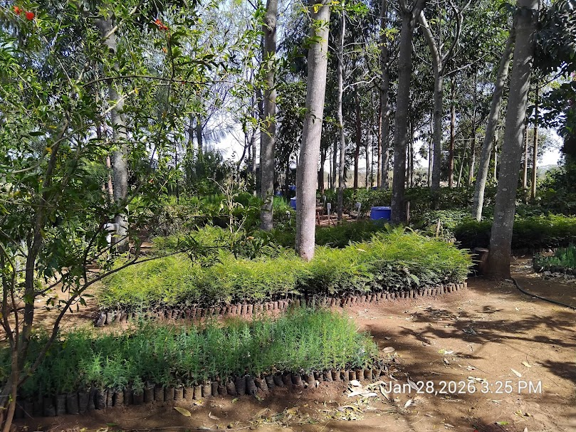 Friends of Mau Watershed (FOMAWA) tweet media