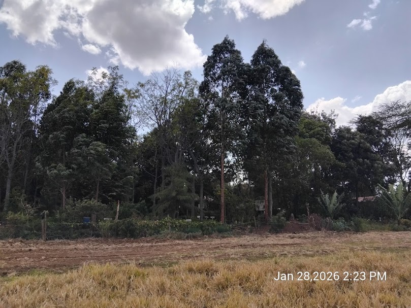 Friends of Mau Watershed (FOMAWA) tweet media