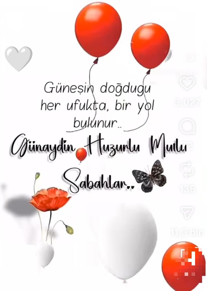 Mehmet kavi tweet media