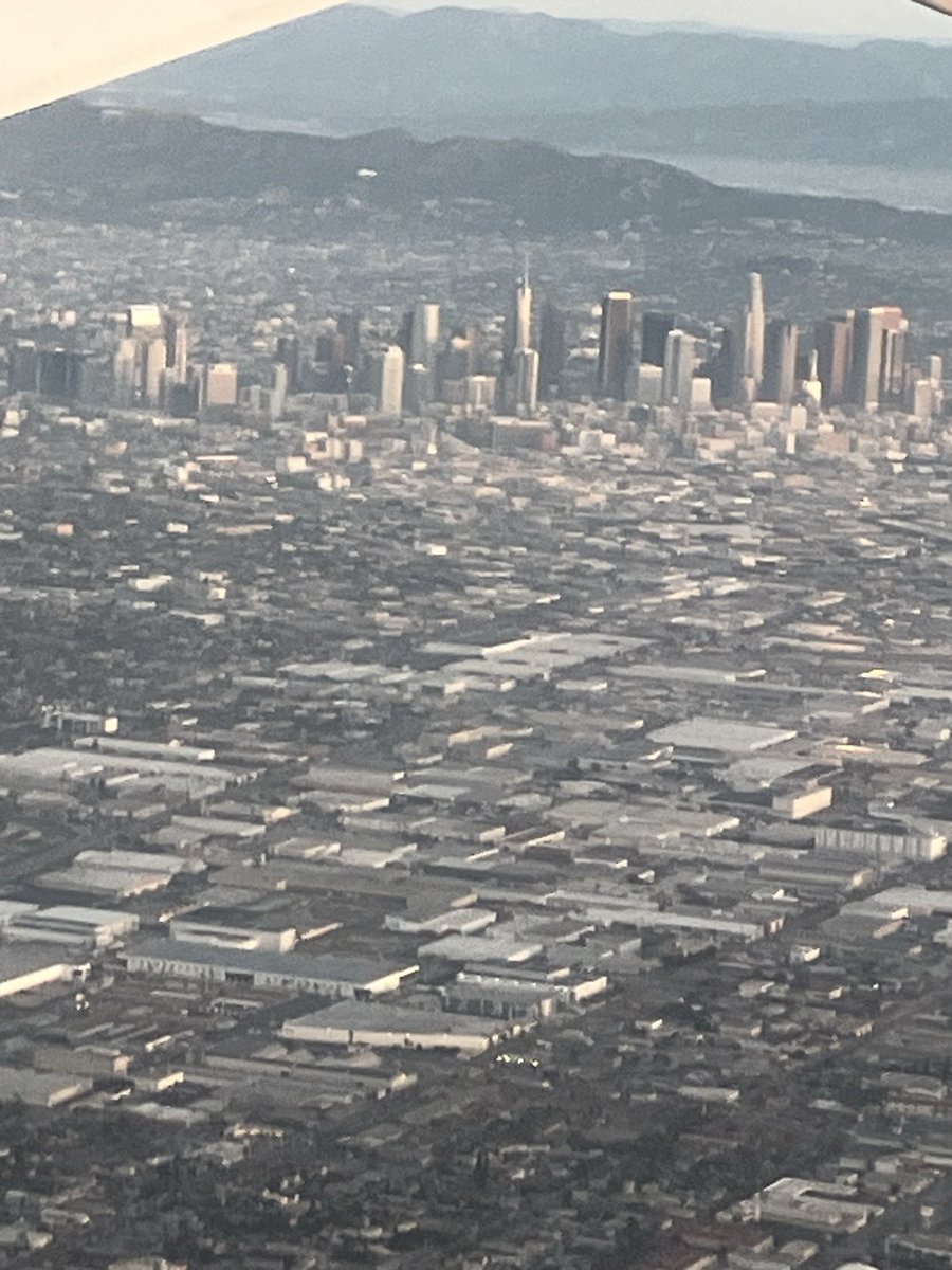 robert daye tweet media