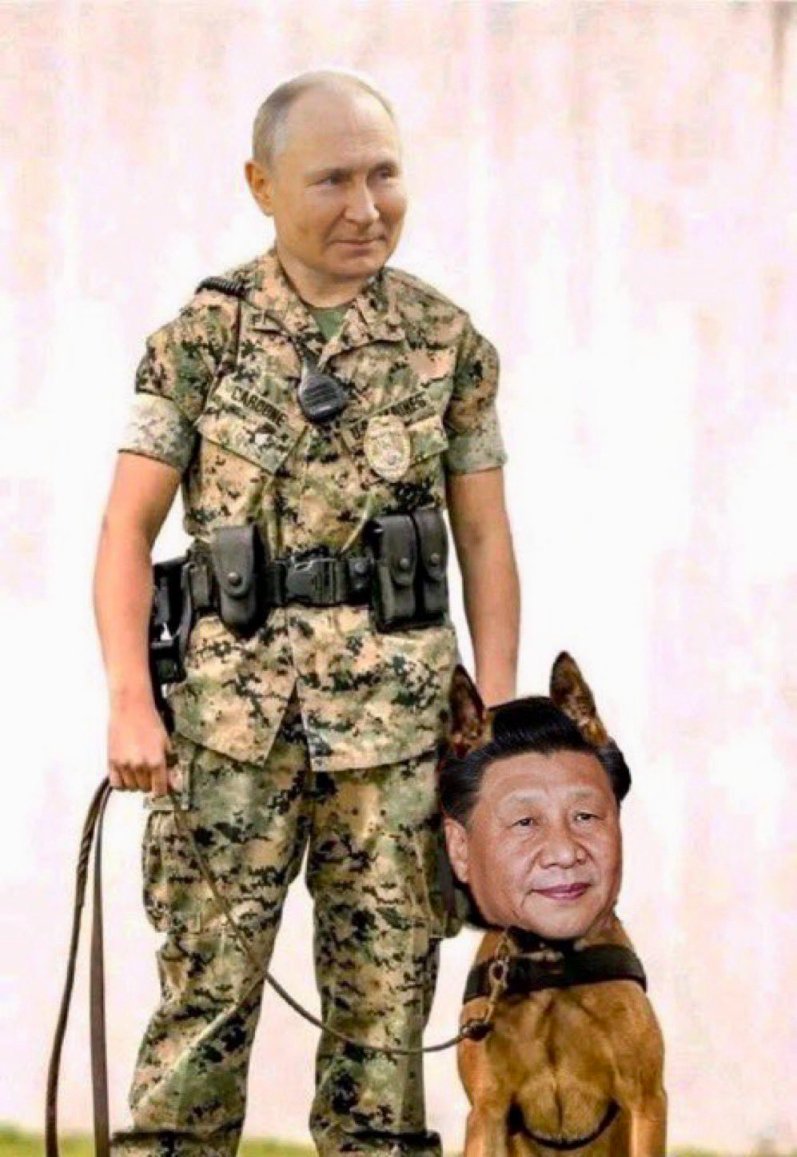 AlexAnderson tweet media