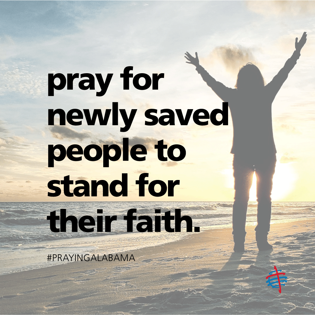 Alabama Baptist SBOM tweet media