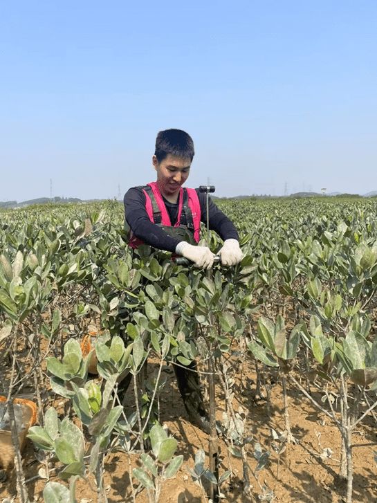 Functional Ecology tweet media