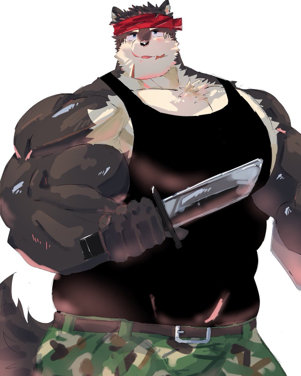 リシェア tweet media