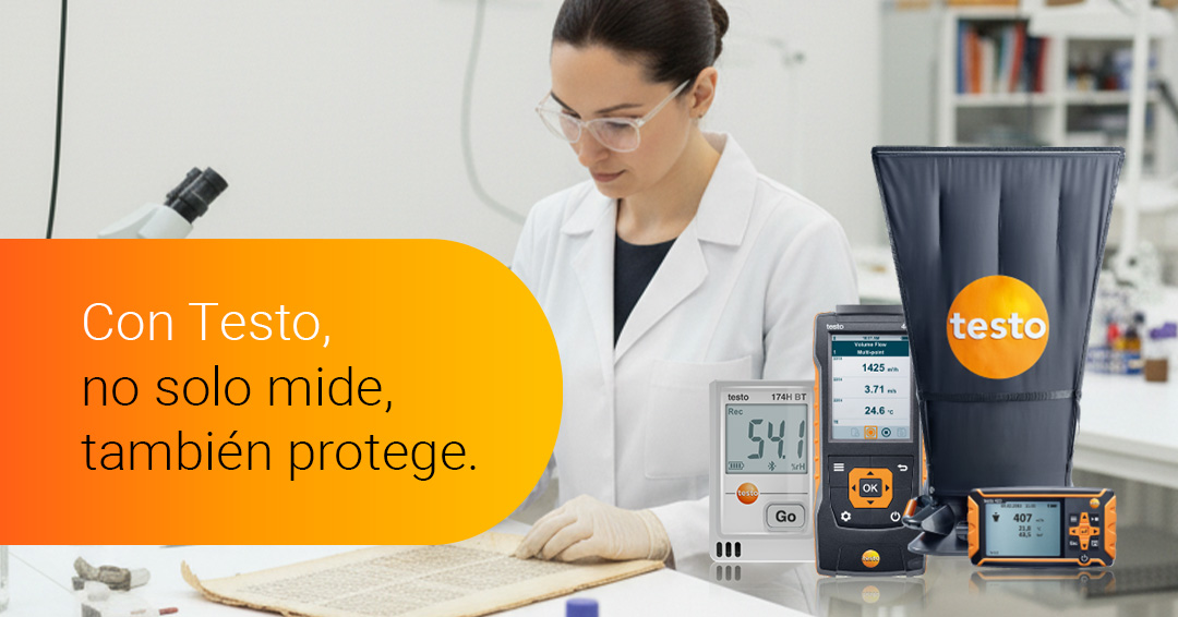 Testo España tweet media