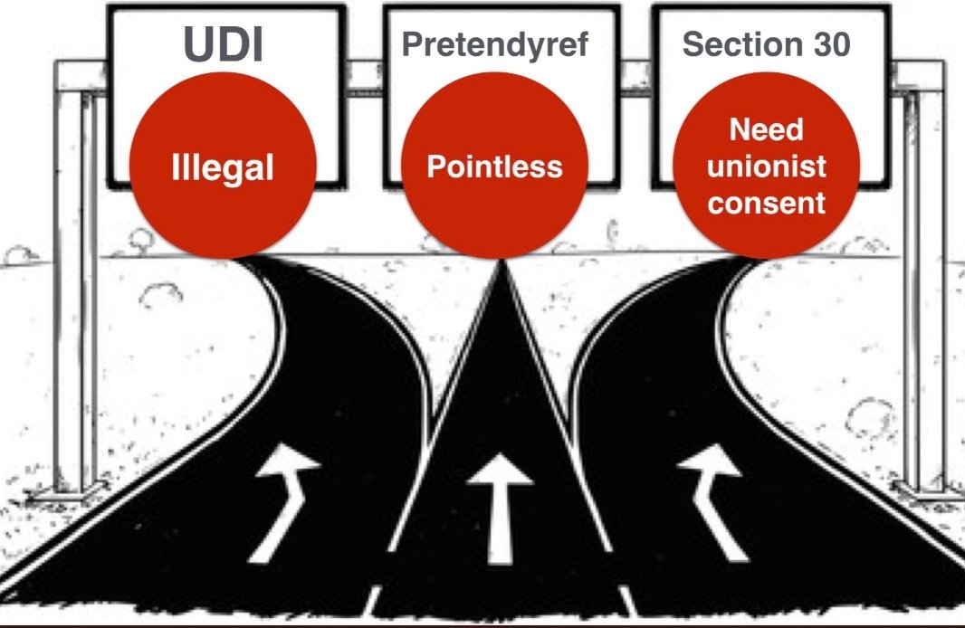 Nefarious Porpoises tweet media