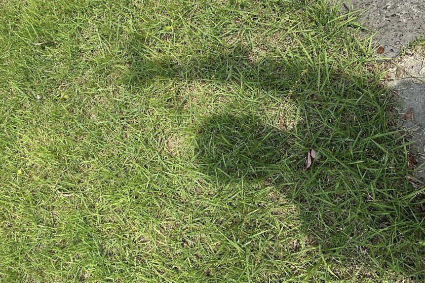 bayangan doang tp kita tau kalo mark emg CAKEP #mutlak