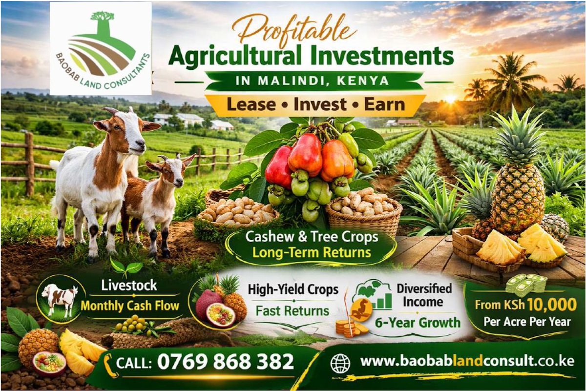 biznakenya's tweet photo. A quiet shift is underway as investors reassess traditional assets amid volatility and inflation. Agriculture is re-emerging as a credible investment class, not because it's trendy, but because it is fundamentally productive.

Baobab Land Consult bridges capital and agricultural production through a managed model in Malindi. Investors lease land at approximately Sh10,000 per acre annually, while the company handles all farm operations, from preparation to harvesting. Investors receive production reports without direct involvement, converting farming into a passive, portfolio-based investment.
Call: 0769 868 382